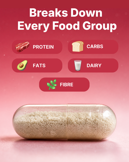 Digestive Enzymes